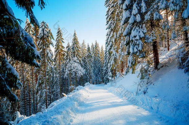 美丽的山地<strong>雪景</strong>和白雪覆盖的<strong>树木</strong>。 山中美丽的晴天。