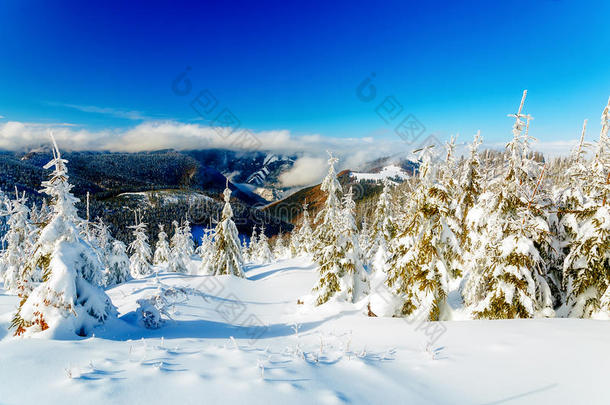 美丽的山地雪景和白雪覆盖的树木。 山中美丽的晴天。