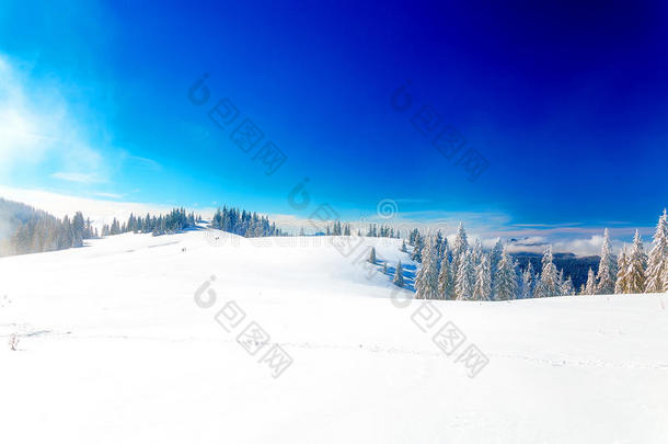 美丽的山地雪景和白雪覆盖的树木。 山中美丽的晴天。