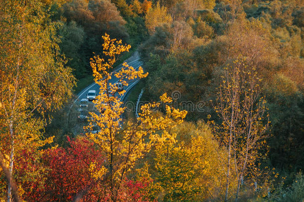 从<strong>高处</strong>俯瞰这条路的美丽景色。 秋天