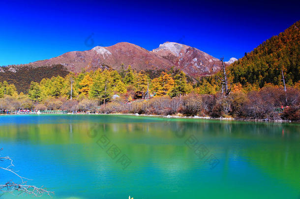 稻城鸭顶，中国国家级自然保护区