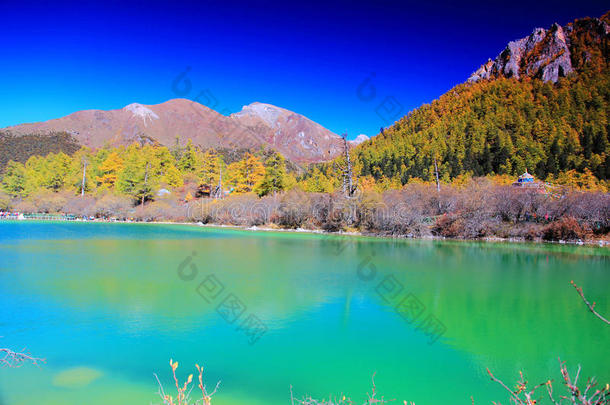 <strong>稻城</strong>鸭顶，中国国家级自然保护区