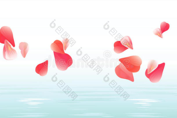 花的背景。 花瓣设计。 花花瓣落在水里。 玫瑰飞舞的花瓣。 透明的花瓣背景