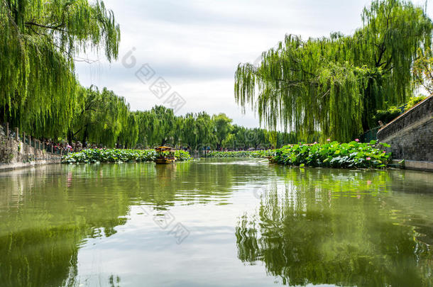 北京贝海公园夏季在北京，中国