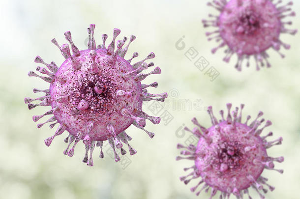 巨细胞病毒，疱疹病毒科DNA病毒