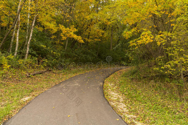 树林中的秋季自行车道