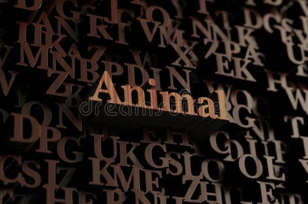 动物-木制3D渲染字母/消息