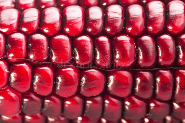 新鲜的红色玉米可以作为纹理和背景