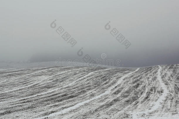冬天雾霾中的田野。
