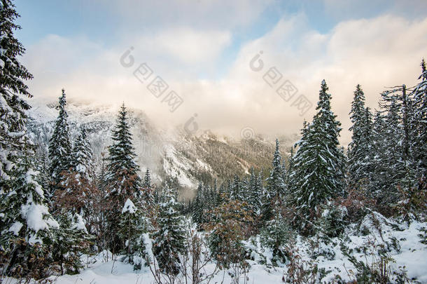 寒冷的早晨在冬天的山上，雪和蓝色的雪