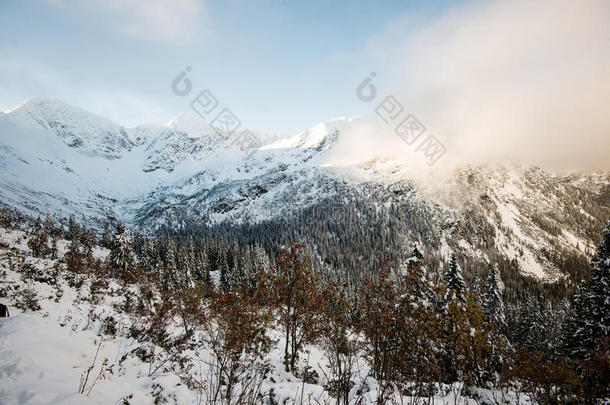 寒冷的早晨在冬天的山上，雪和蓝色的雪