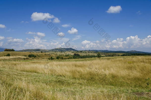 普莱纳山提前夏天的<strong>美景</strong>