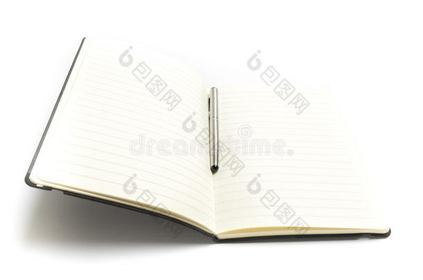 空白书或规划师用钢笔打开