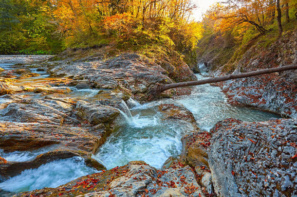 日落时森林里美丽的瀑布。 秋天的风景，落叶