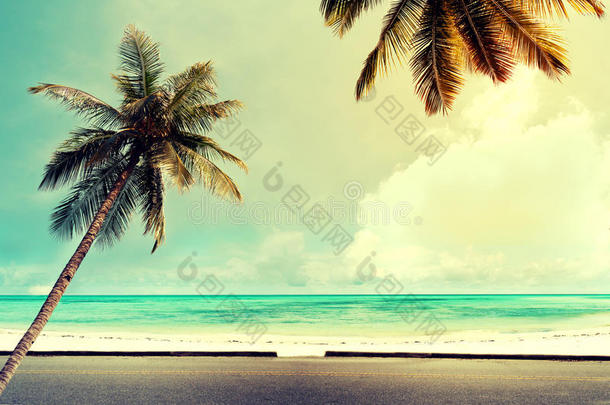 热带沙滩上的椰子树，蓝天，阳光明媚，夏日，