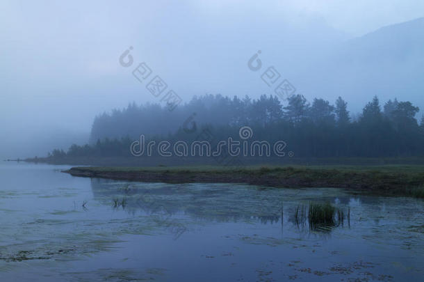 露水雾风景早晨自然