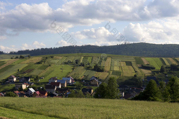 清晰的绿色景观与小村庄从夏季山马库拉在斯洛伐克