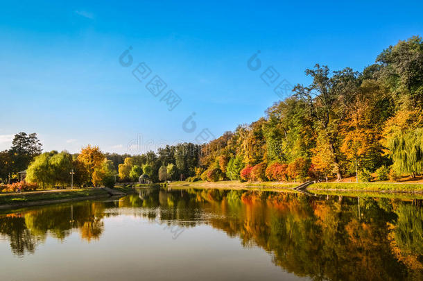 秋天的树叶，枫树的树枝映衬着湖面和天空。 公园里阳光明媚的一天。