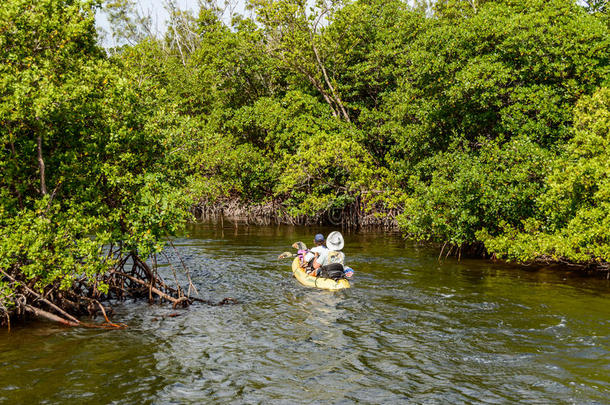 生态系统佛罗里达州好莱坞皮艇皮艇运动