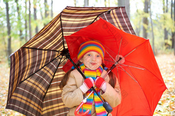 女孩在秋天的森林里带着雨伞，美丽的风景在秋天的季节带着黄色的叶子