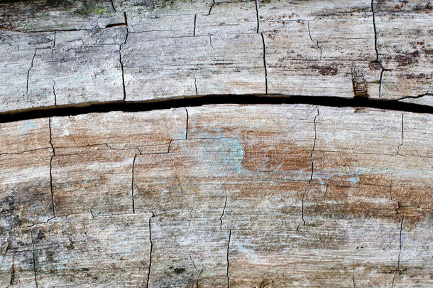 裂开的木头表面。 硬木纹理图案背景宏观视图。