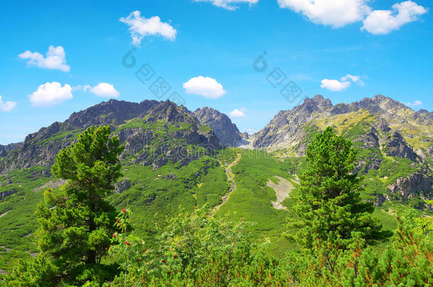 阿尔卑斯山<strong>海拔高度</strong>美丽的蓝色喀尔巴阡山