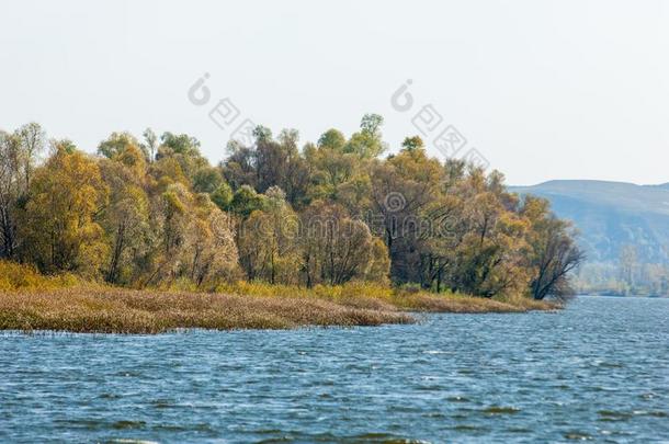 瀑布河。 秋天五颜六色的叶子在湖上美丽的汪洋大海