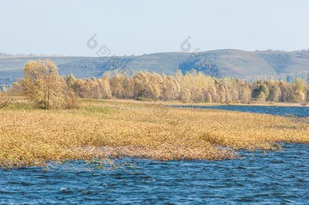 瀑布河。 秋天五颜六色的叶子在湖上美丽的汪洋大海