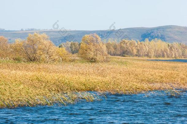瀑布河。 秋天五颜六色的叶子在湖上美丽的<strong>汪</strong>洋大海