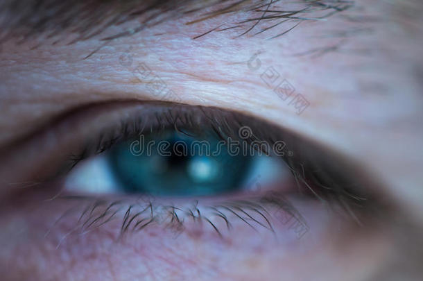 角膜眼睛眼球睫毛视力