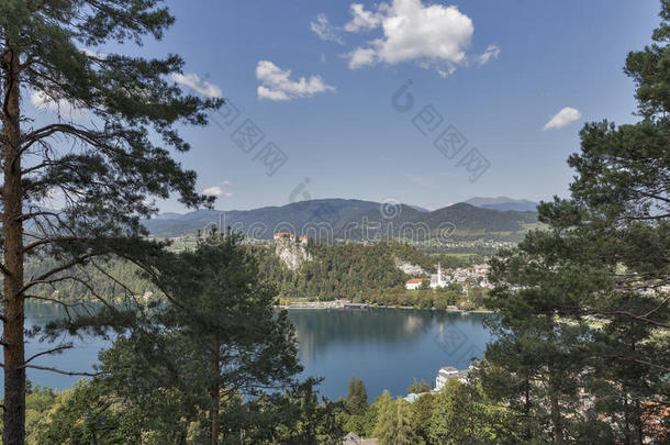城堡和圣马丁教堂俯瞰斯洛文尼亚流血湖。