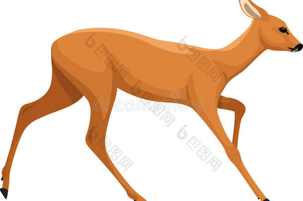 动物<strong>鹿</strong>角宝贝棕色的卡通
