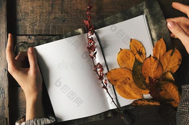 手把笔记本放在木桌上，上面放着白色的干净床单。秋叶，暖色，复古质感。复制空间背景