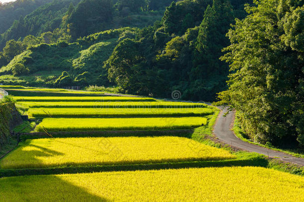 日本农村的农业景观