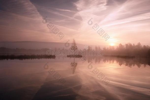 清晨的秋天，在梦幻的气氛中，在山间的湖中，在岛上的树上。