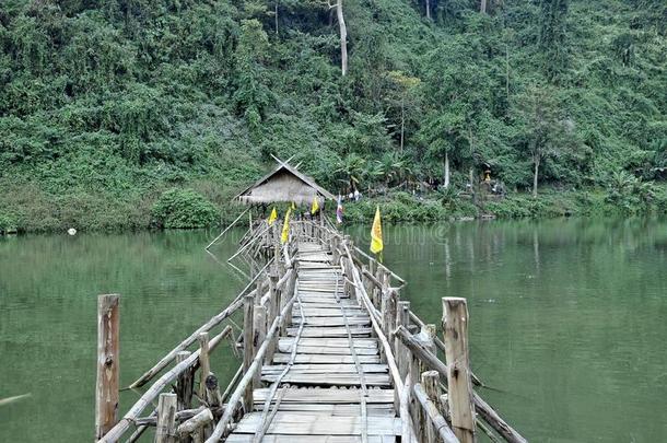 通往丛林深处的桥