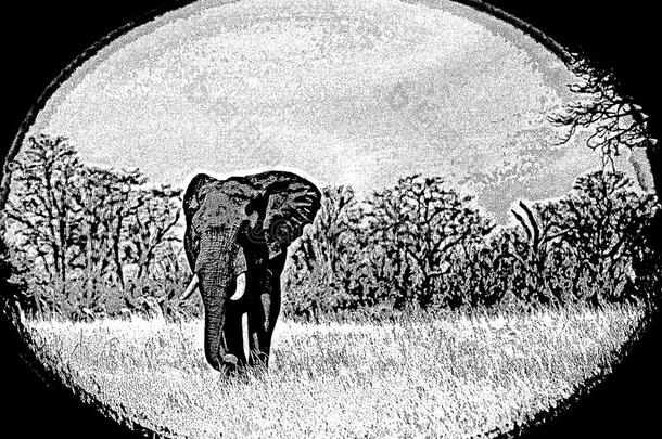 <strong>一只大象</strong>在平原上的艺术艺术，在津巴布韦南部非洲的华哥国家公园有<strong>一</strong>个椭圆形的黑色框架