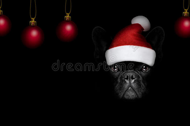 圣诞老人圣诞老人的狗在黑色的背景上