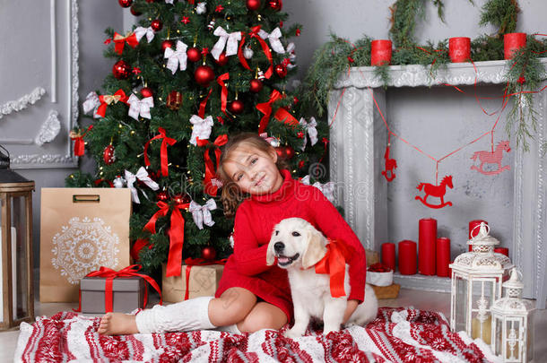 一个小女孩，在圣诞树的背景上有一只小狗金色猎犬