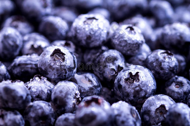 篮子里新鲜采摘的蓝莓