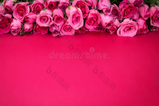 美丽的新鲜甜粉色玫瑰的边界