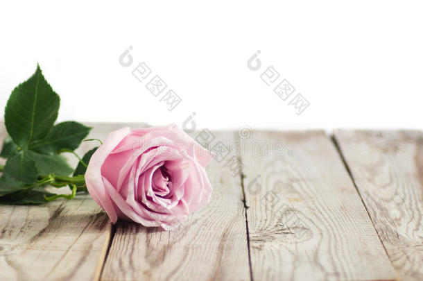 木制背景上模糊的粉红色玫瑰