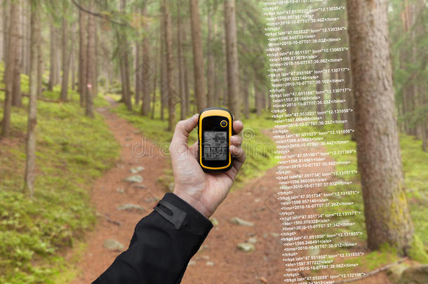 在一个多云的秋天，一位徒步旅行者通过GPS在森林中找到了正确的位置