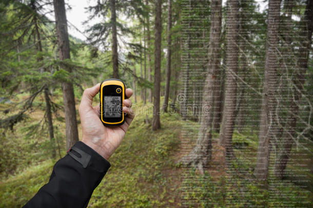 在一个多云的秋天，一位徒步旅行者通过GPS在森林中找到了正确的位置