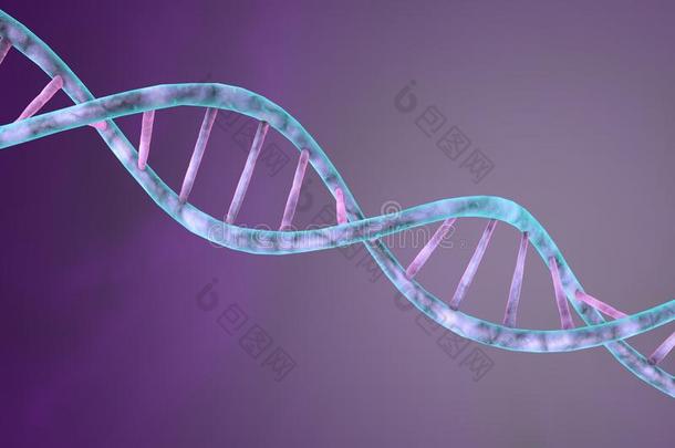 <strong>DNA</strong>的<strong>双螺旋</strong>