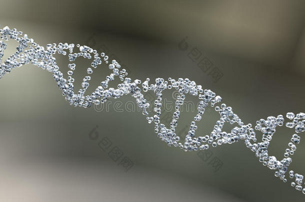 <strong>DNA</strong>的<strong>双螺旋</strong>