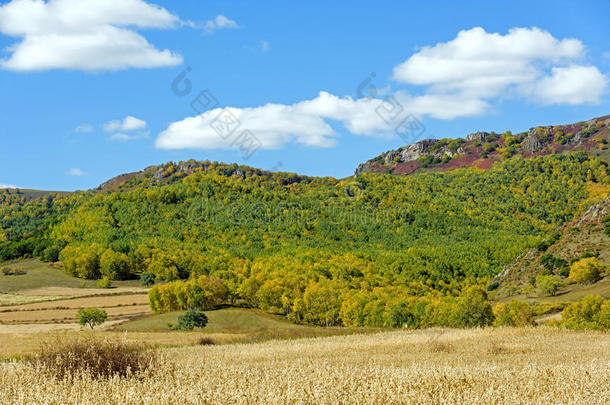 秋天的玉米田和山林