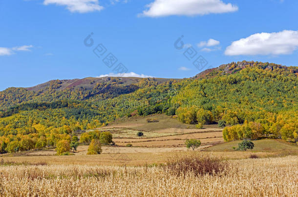 秋天的玉米田和山林