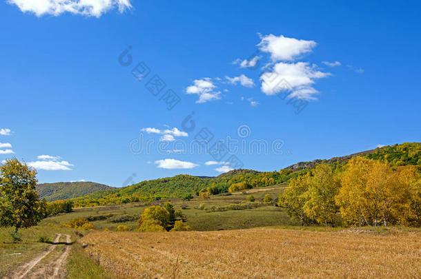 秋天的玉米田和山林