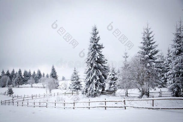 冬季雪景圣诞背景